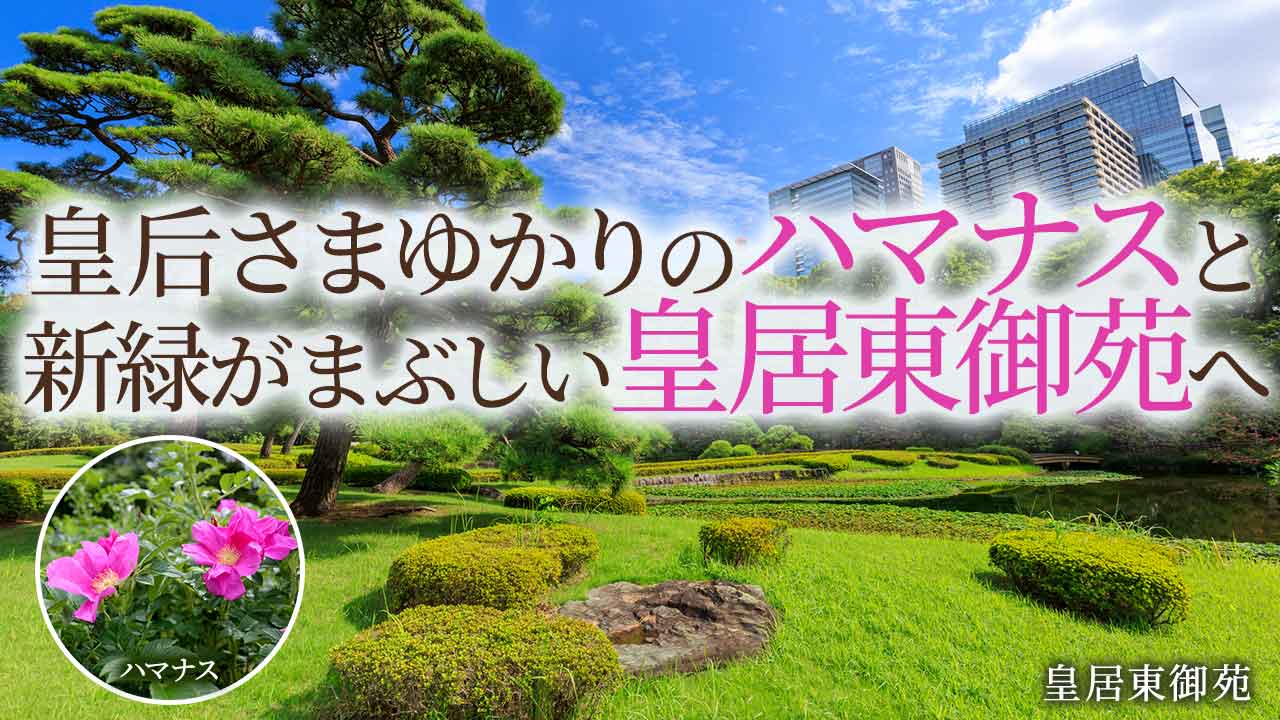 専門家と歩くから楽しい！春の花さんぽ