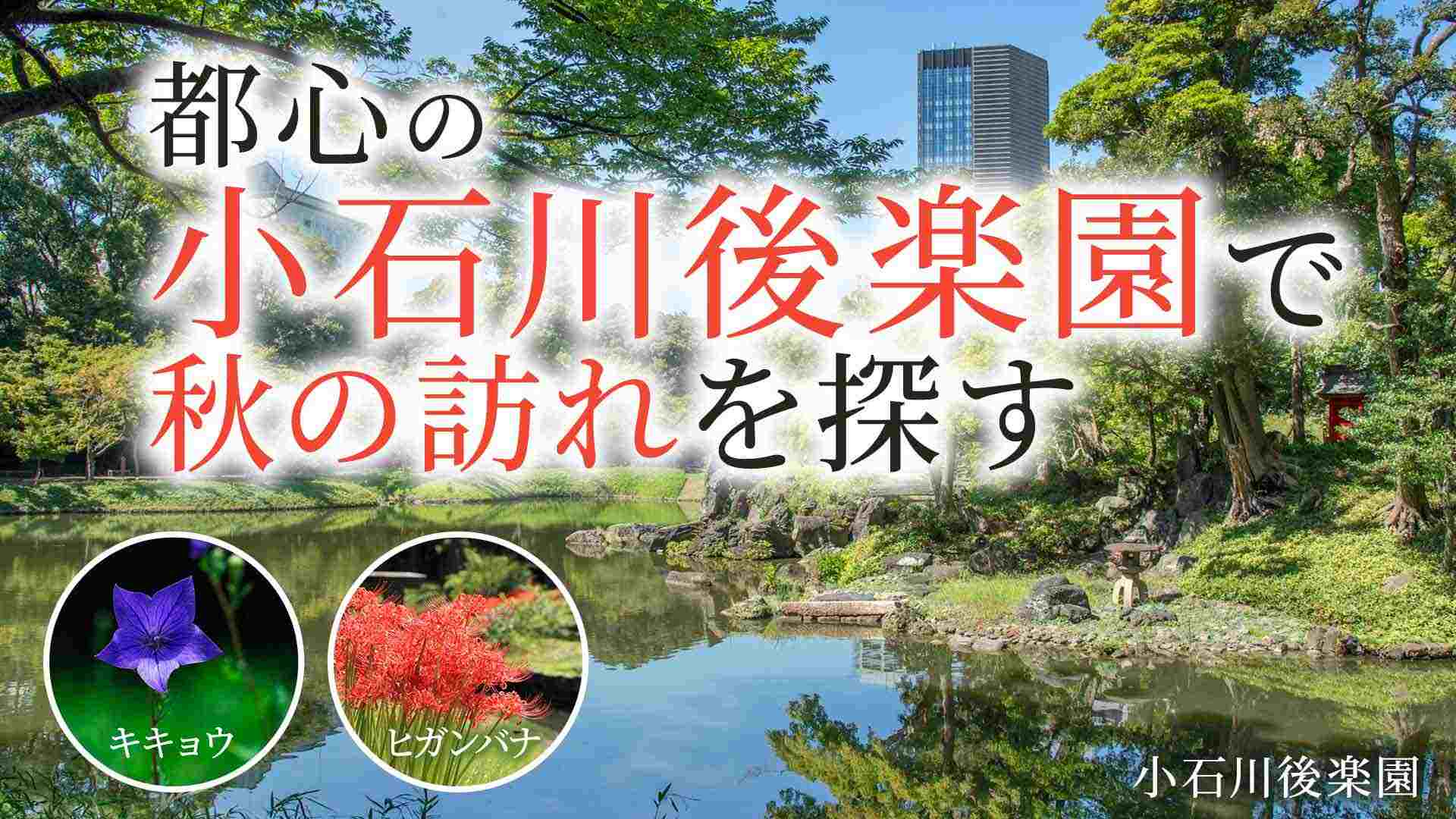 花さんぽ 都心の小石川後楽園で秋の訪れを探す【9月16日(水)開催】