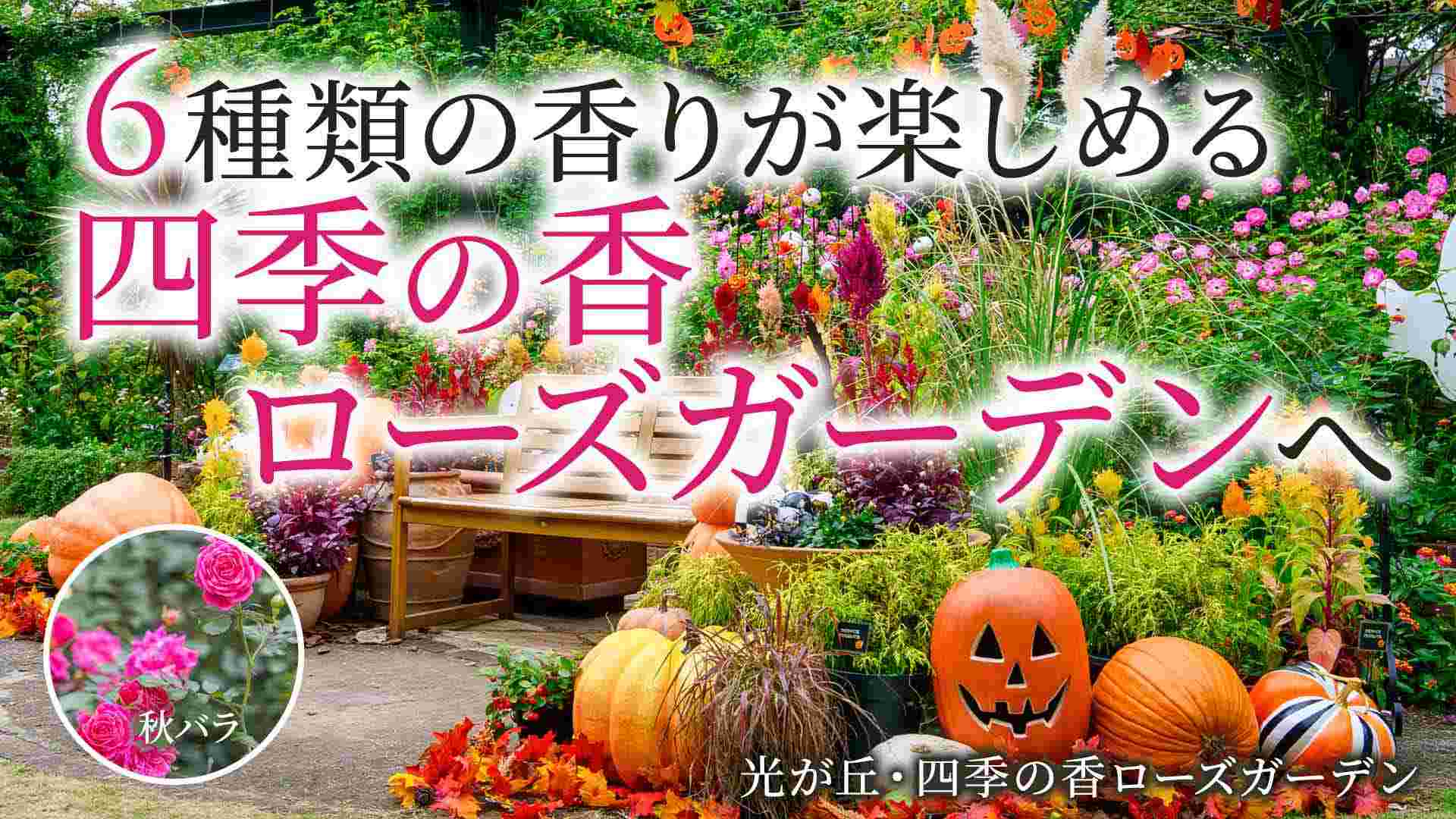 花さんぽ 6種類の香りが楽しめる四季の香 ローズガーデンへ【10月21日(水)開催】